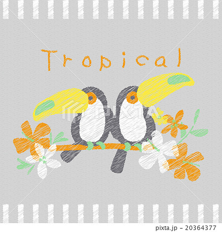 熱帯性の鳥と花グラフィック デザイン ファッション T シャツ プリントのイラスト素材