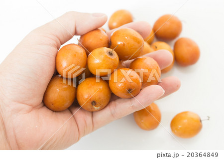 handful of jujube 20364849