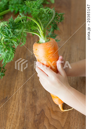 新鮮なにんじん 20365147
