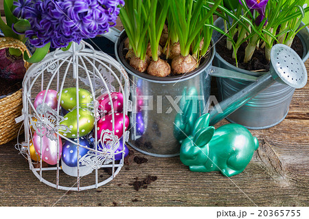 Easter in garden Easter in garden 20365755