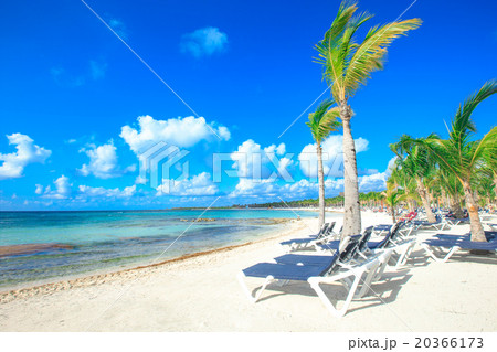 tropical sea 20366173