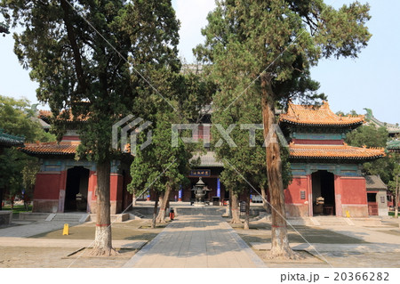 中国 正定県 隆興寺 中国 正定県 隆興寺 20366282