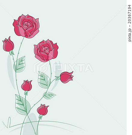 Vector red roses 20367194