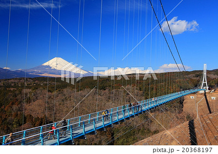 三島スカイウォークと富士山 20368197