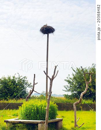 Stork Nest On Pole Stork Nest On Pole 20368482