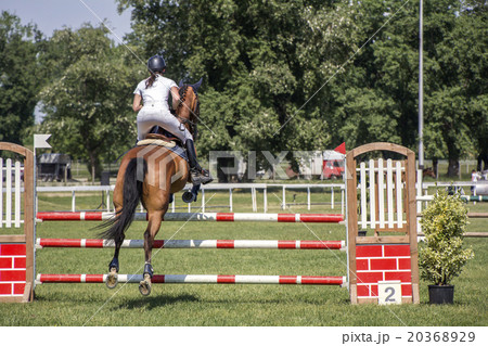 Young girl jumping on horseback 20368929