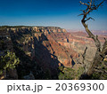 Grand Canyon National Park 20369300