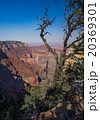 Grand Canyon National Park 20369301