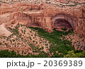 Ancient Ruins in Navajo National Monument, Arizona 20369389