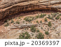 Natural Bridges National Monument, Utah 20369397