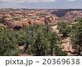 Navajo National Monument, Arizona. 20369638