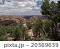 Navajo National Monument, Arizona. 20369639