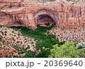 Navajo National Monument, Arizona. 20369640