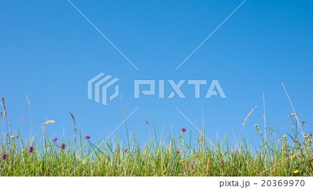 grass profile and sky 20369970