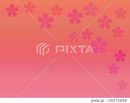 桜 グラデーション 桜 グラデーション 20372699