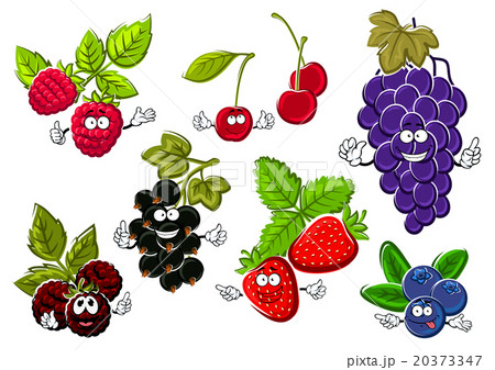 Garden berry fruits happy characters 20373347