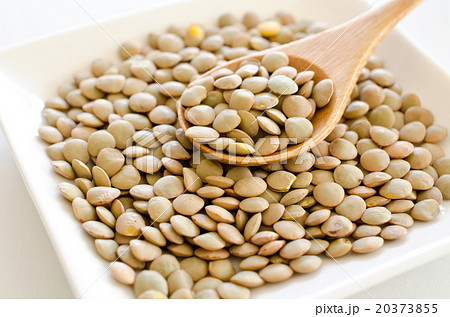 レンズ豆 20373855