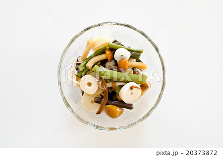 山菜の水煮 20373872