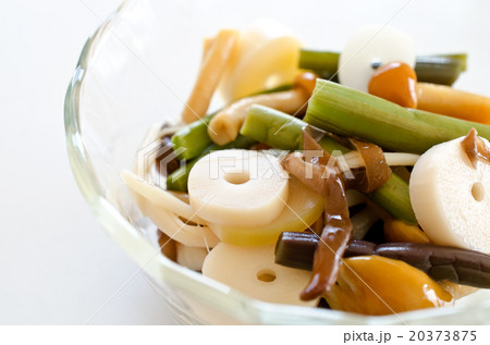 山菜の水煮 20373875