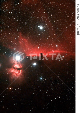 馬頭星雲　ic434 20378073