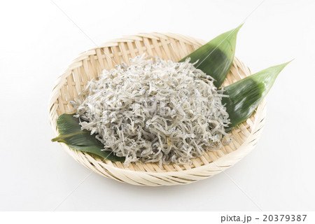 ちりめん 20379387