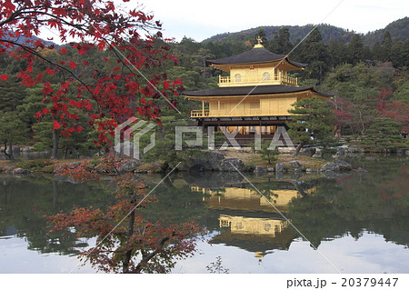 紅葉の鹿苑寺舎利殿(金閣) 紅葉の鹿苑寺舎利殿(金閣) 20379447