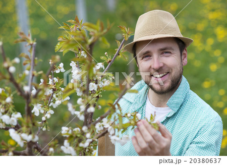 Gardener looking after trees 20380637