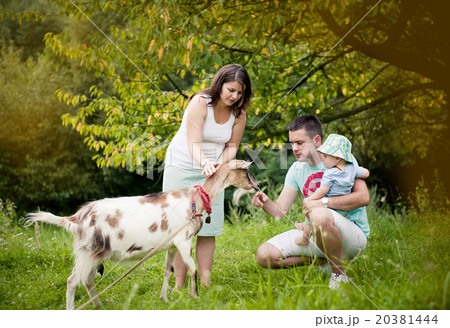 Happy family Happy family 20381444