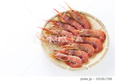 海老2 海老2 20381766