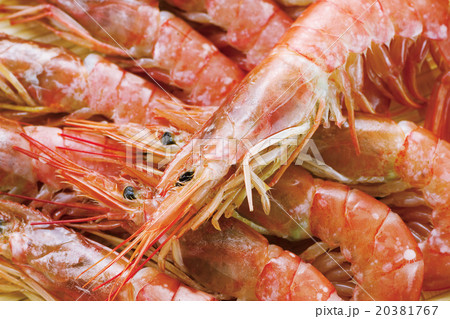 海老3 海老3 20381767