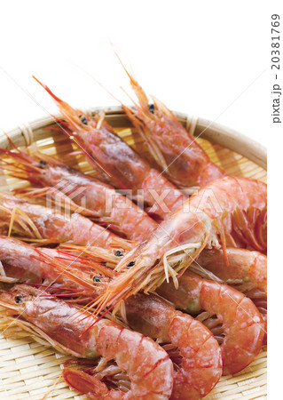 海老5 20381769