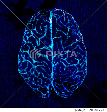 Xray Brain Connect Stock Illustration - Download Image Now