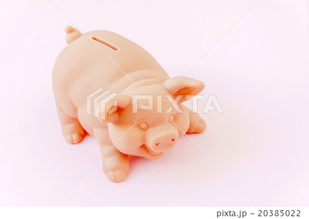 pig bank pig bank 20385022