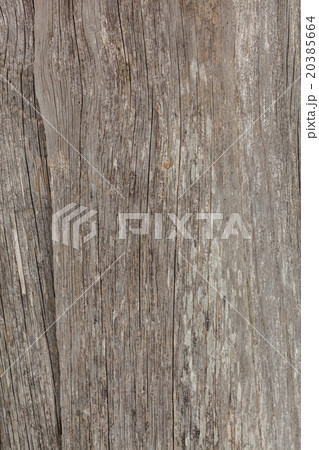 wood background 20385664