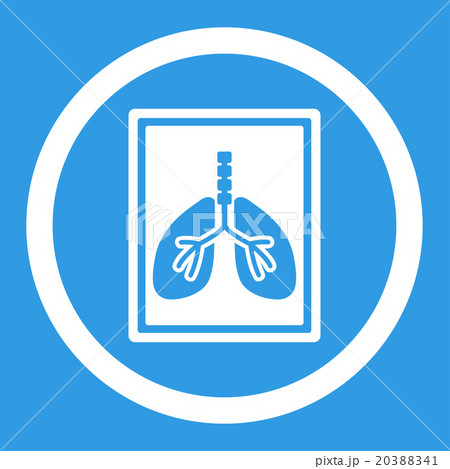 Lungs X-Ray Photo Rounded Vector Icon Lungs X-Ray Photo Rounded Vector Icon 20388341