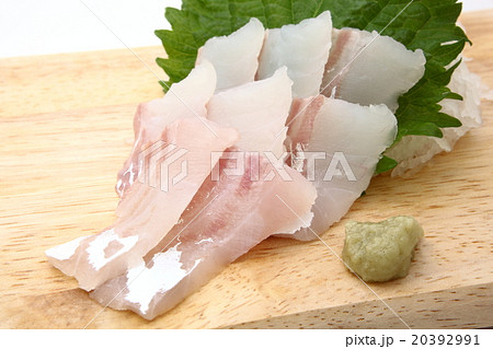 鱸　スズキ　刺身　造り　腹太　和食 20392991