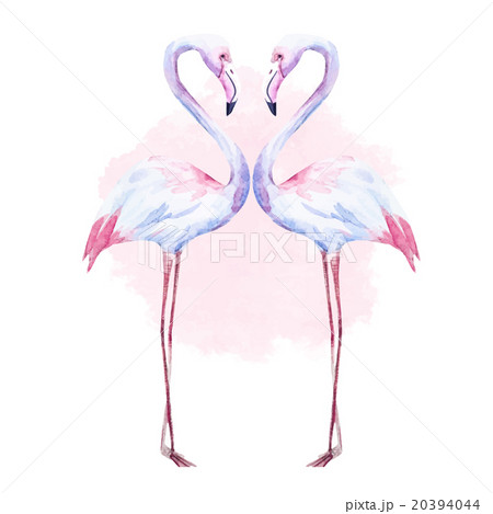 Nice Watercolor Flamingoのイラスト素材