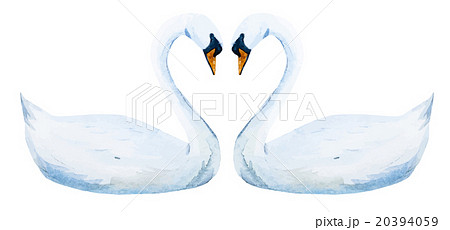 swan heart drawing