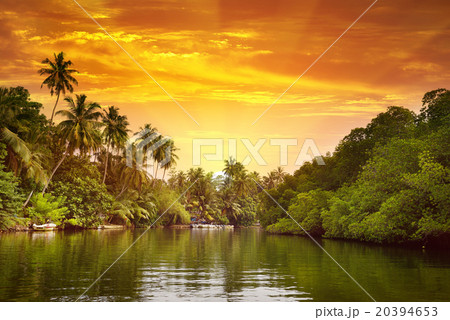 Sunrise in picturesque lagoon Sunrise in picturesque lagoon 20394653