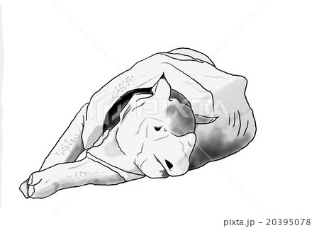 ごろごろ 20395078