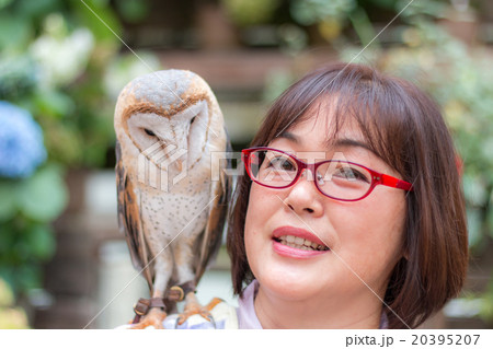 体験　メンフクロウ 20395207