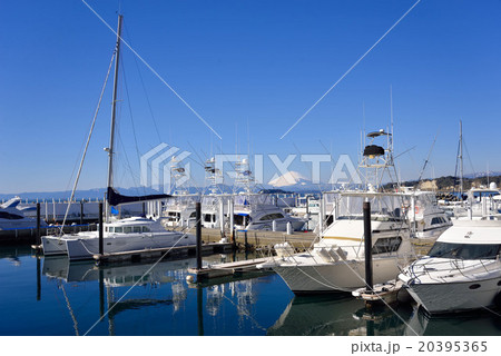 逗子マリーナに繋留するクルーザー 逗子マリーナに繋留するクルーザー 20395365