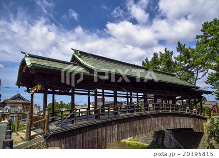 鞘橋 20395815