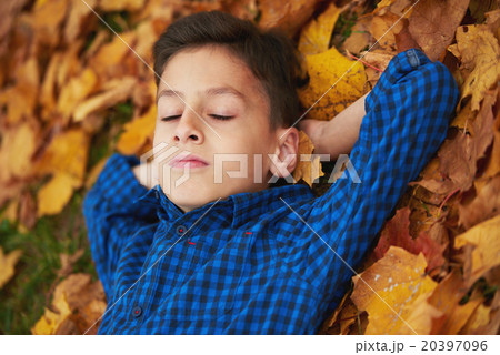 boy lying in autumn leaves 20397096