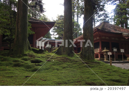 紅葉シーズンの比叡山延暦寺(西塔・にない堂) 紅葉シーズンの比叡山延暦寺(西塔・にない堂) 20397497