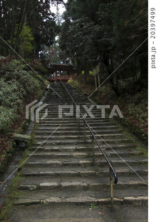 紅葉シーズンの比叡山延暦寺(西塔・釈迦堂からの階段) 紅葉シーズンの比叡山延暦寺(西塔・釈迦堂からの階段) 20397499