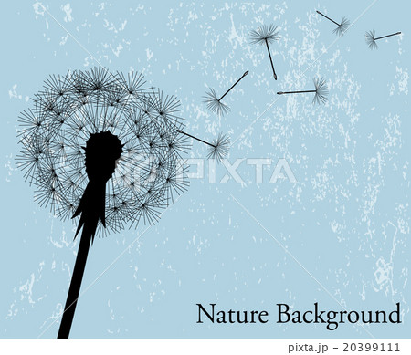 background with dandelion background with dandelion 20399111