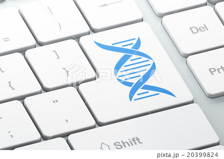 Science concept: DNA on computer keyboard Science concept: DNA on computer keyboard 20399824