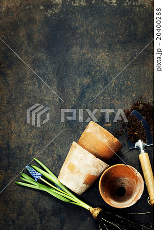 Garden tools Garden tools 20400288