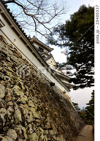 早朝の高知城 早朝の高知城 20400337